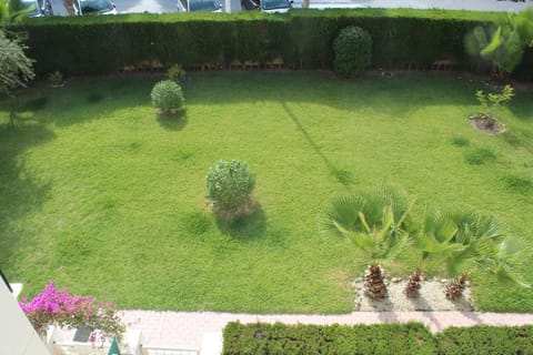 Balcony/Terrace, Garden view