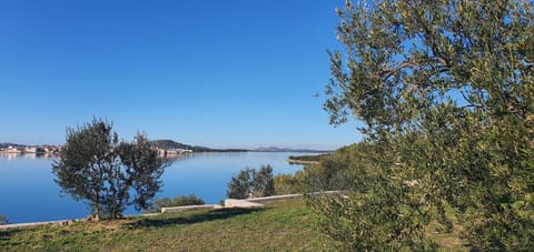 Beach, Area and facilities