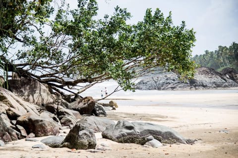 Day, Natural landscape, Fishing, Beach, On site, Sea view