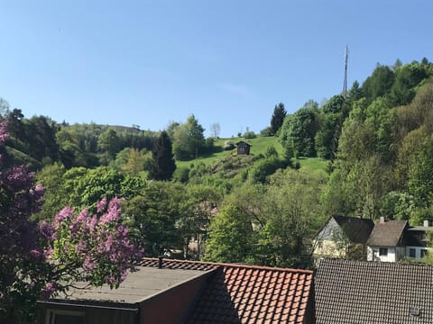 Ferienwohnung Am Burgberg Condo in Wernigerode