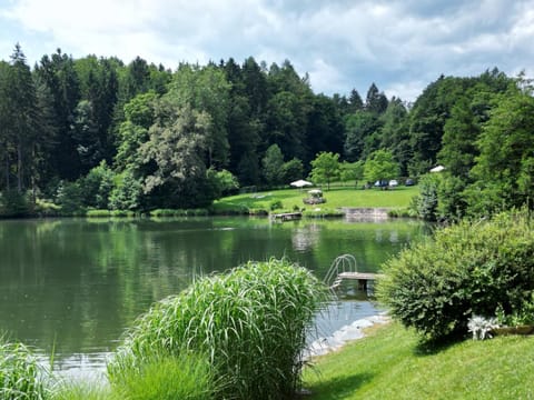 Landgasthof Trattnig Bed and Breakfast in Carinthia, Austria