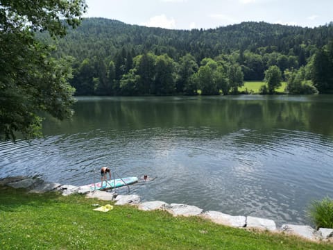 Landgasthof Trattnig Bed and Breakfast in Carinthia, Austria