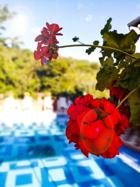 Casa Campestre Las Nieves Hotel in Santander, Colombia