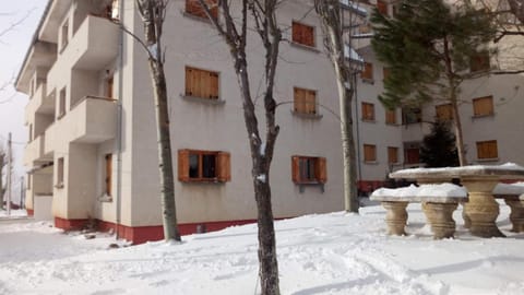 Apartamento MODESTO en las montañas del pirineo aragonés en Alquiler Altruista ECONÓMICO Apartment in Villanúa