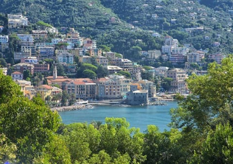 Villa Mares - sea view, free garage House in Rapallo