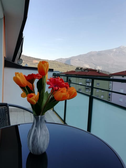 Balcony/Terrace, Mountain view