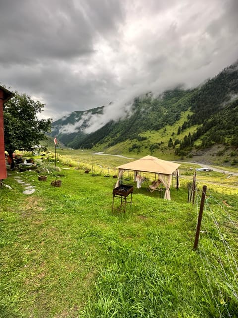 Spring, Day, Natural landscape, Mountain view