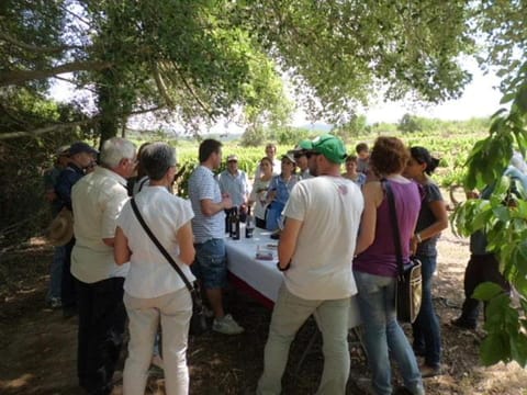 Ca la Viola Country House in Baix Camp