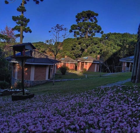 Pousada 3 Pinheiros Posada in Campos do Jordão