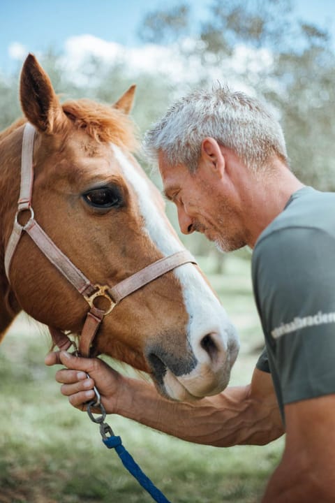 Agriturismo Costa Etrusca Farm Stay in San Vincenzo