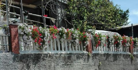 Casa Ofelia House in Levanto