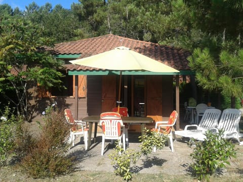 Patio, Garden, Garden view