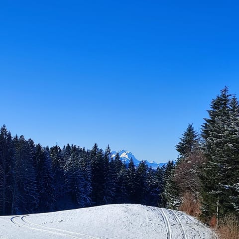 Stockreutehof Apartment in Vorarlberg, Austria