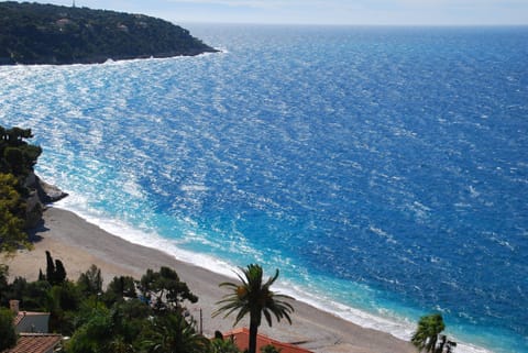 Beach, Area and facilities