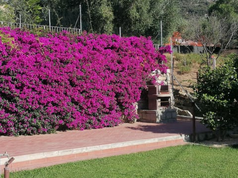 Il Mirto House in Tuscany