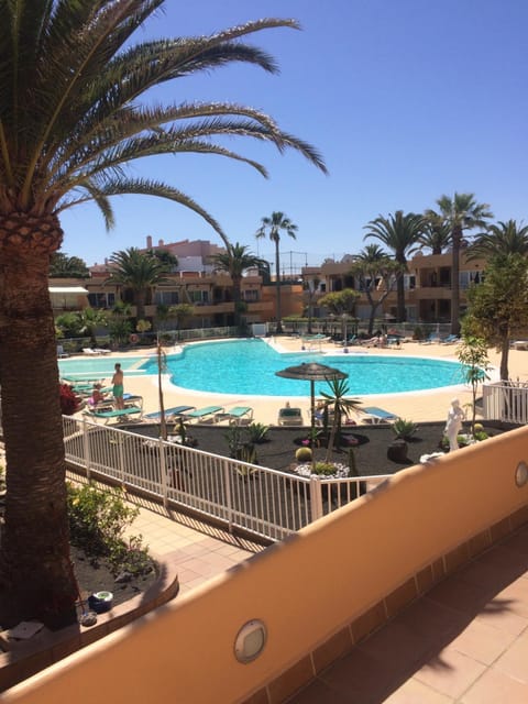 Garden, Pool view, Swimming pool