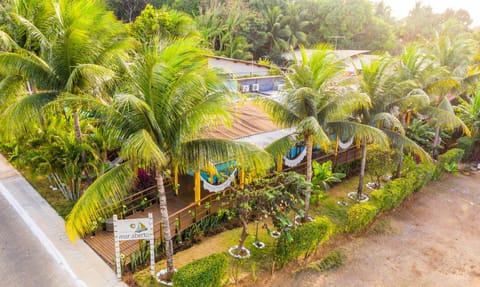 Natural landscape, Garden view