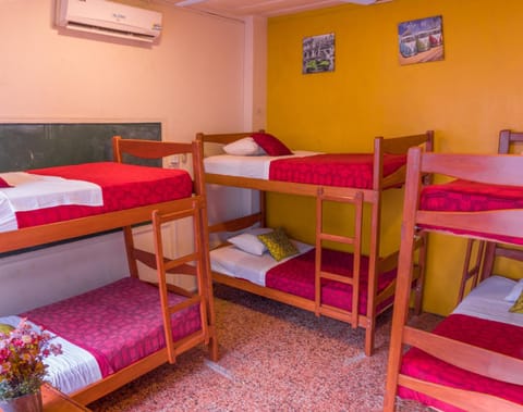 Flying Dog Hostel Iquitos Hostel in Iquitos