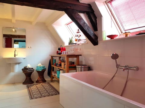 Large Historical Apartment & Canal Terrace Condo in Utrecht