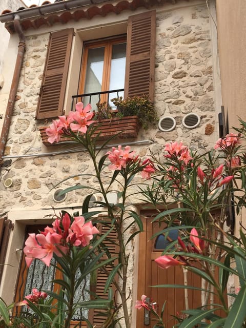 Property building, Facade/entrance, Summer