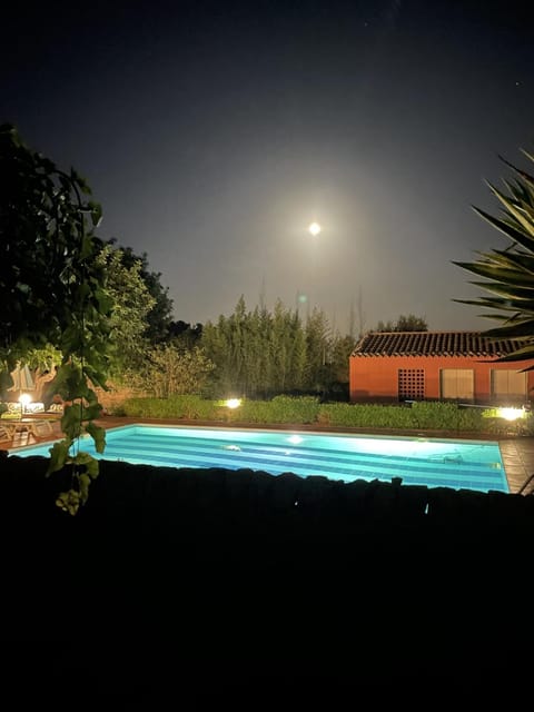 Night, Pool view, Swimming pool