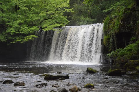 The Owls Bed and Breakfast in Wales