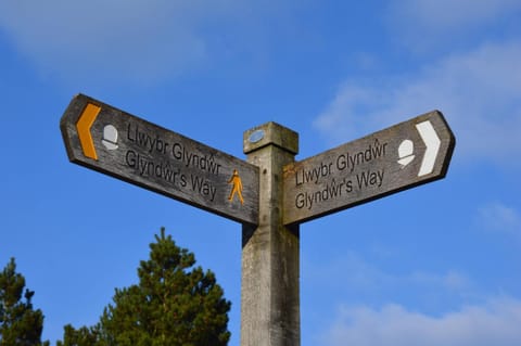 The Owls Bed and Breakfast in Wales