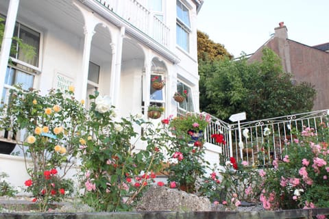 Patio, Garden