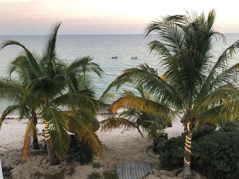 Beachfront Villa Solarium Garden House 1 Villa in State of Yucatan