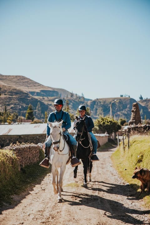 Activities, Horse-riding