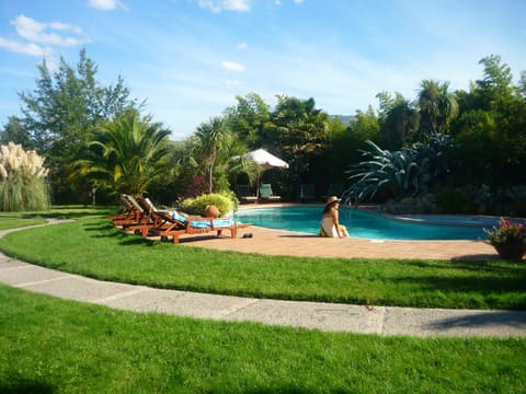 Garden, Guests, Pool view, Swimming pool, sunbed