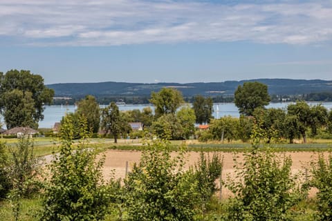 Seesucht Apartment in Gaienhofen