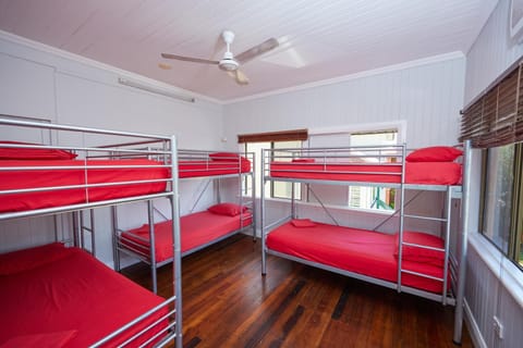 Cairns City Backpackers Hostel Hostel in Cairns