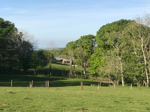 Godshill Park Barn Übernachtung mit Frühstück in Godshill