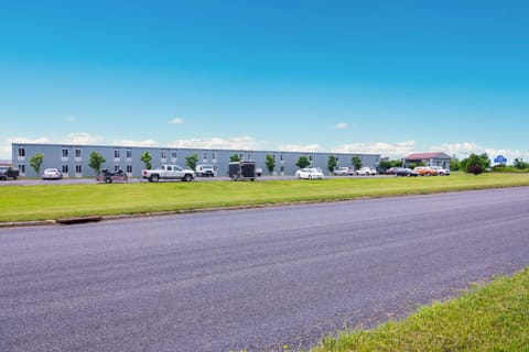 Property building, Day, Garden, On site, Garden view, Time of day