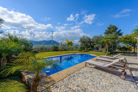 Patio, Garden, Garden view