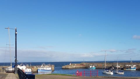 Stunning modern lodge House in Scotland