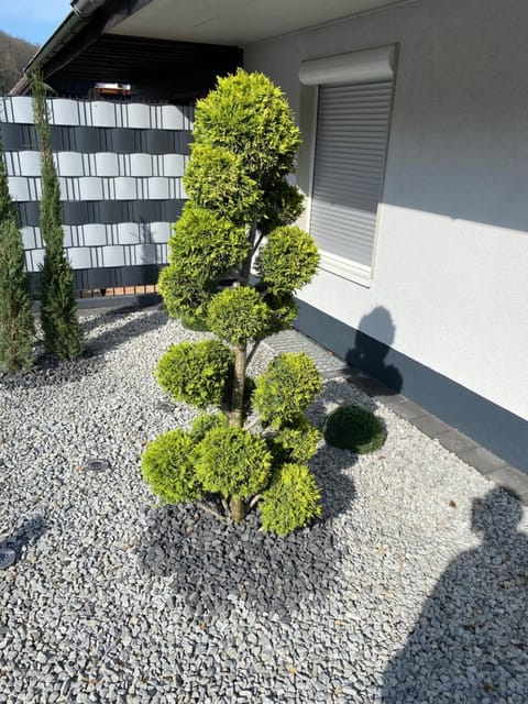 Ferienhaus Heil House in Rhineland-Palatinate