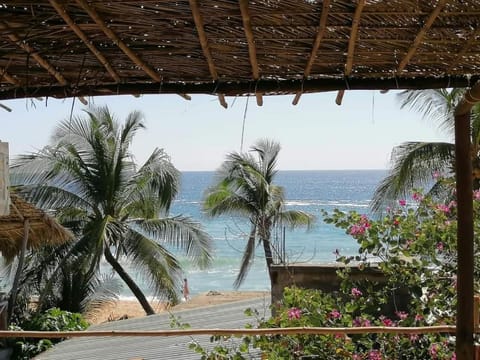 Posada Casa San Agus Inn in State of Oaxaca