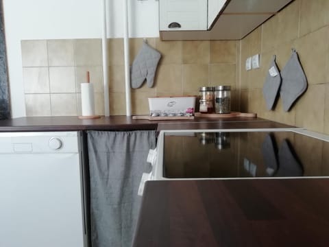 Naturalina Apartment in 5220 Tolmin, Slovenia