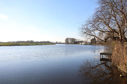 Lake view