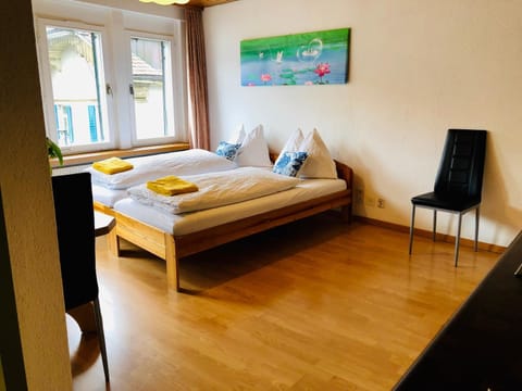 central beauty scenery apartment Wohnung in Interlaken