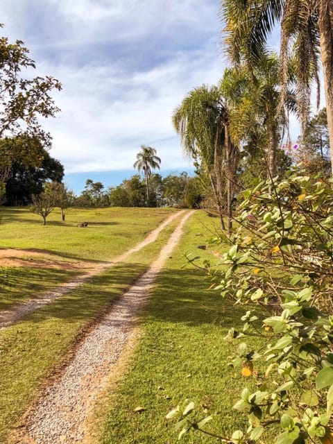 Day, Natural landscape, Garden, Garden view