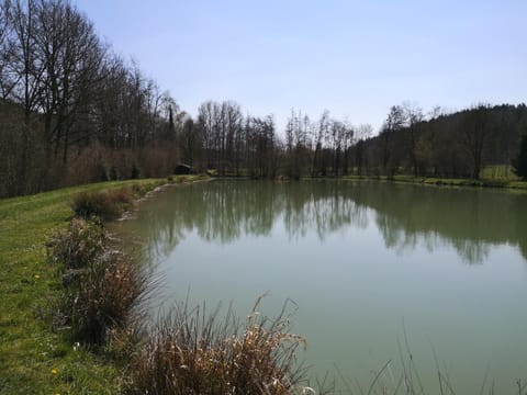 Natural landscape, River view