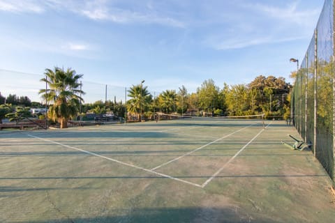 Other, Decorative detail, Tennis court