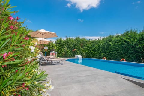 Pool view, Swimming pool, sunbed