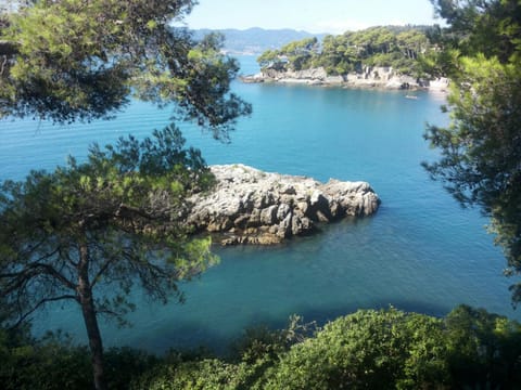 Beach, Sea view