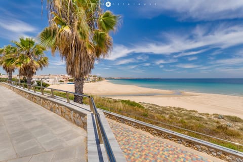 Nearby landmark, Neighbourhood, Natural landscape, Beach