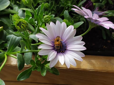 Il Torchio House in Province of Lecco