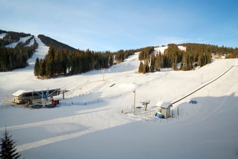 Natural landscape, Skiing, Mountain view